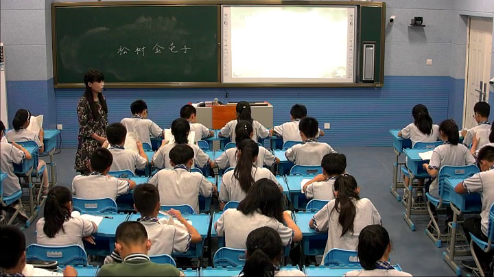 苏教版语文七下《十六松树金龟子（节选）》江苏沈老师-市一等奖