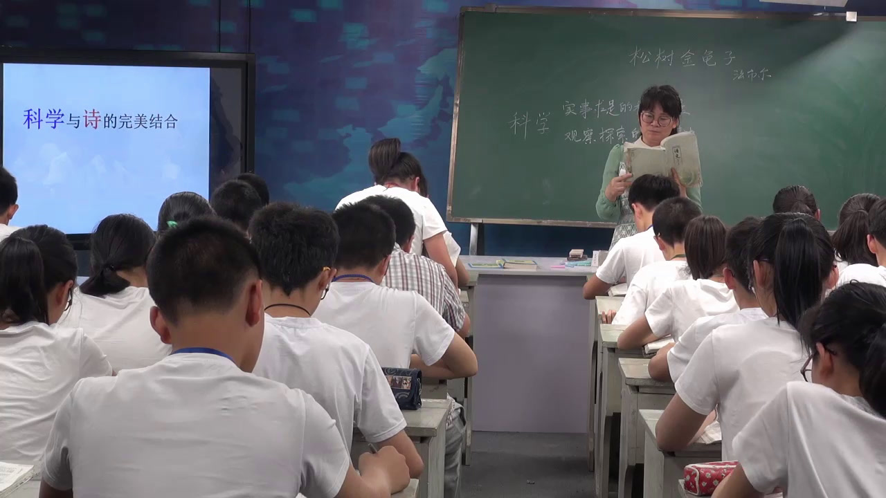 苏教版语文七下《十六松树金龟子（节选）》江苏季老师-市一等奖