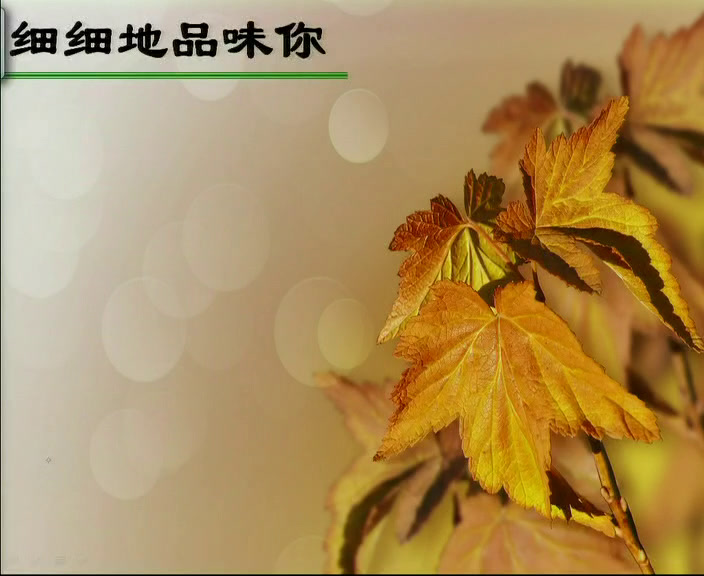 苏教版语文七上《十八秋颂》安徽安老师-市一等奖