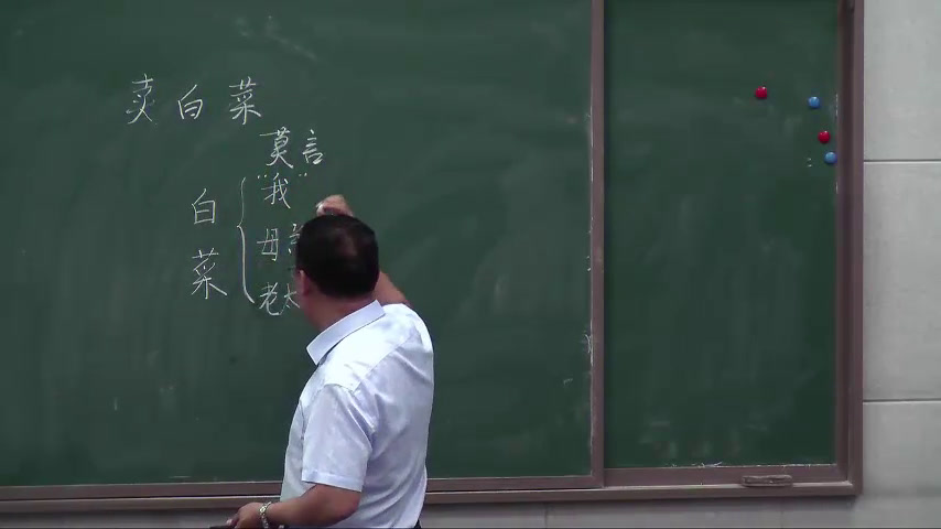 苏教版语文七上《六卖白菜》江苏韩老师-市一等奖