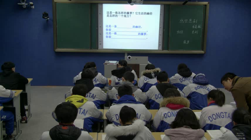 苏教版语文八上《二十一幽径悲剧》江苏何老师-县级优课