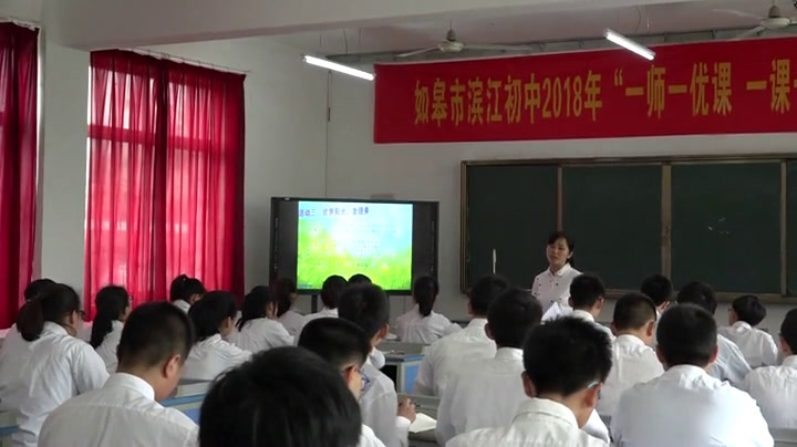苏教版语文八上《一片阳光（林微因）》江苏缪老师-市一等奖