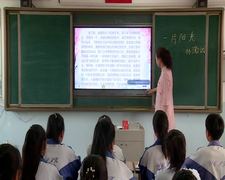 苏教版语文八上《一片阳光（林微因）》宁夏马老师-市一等奖