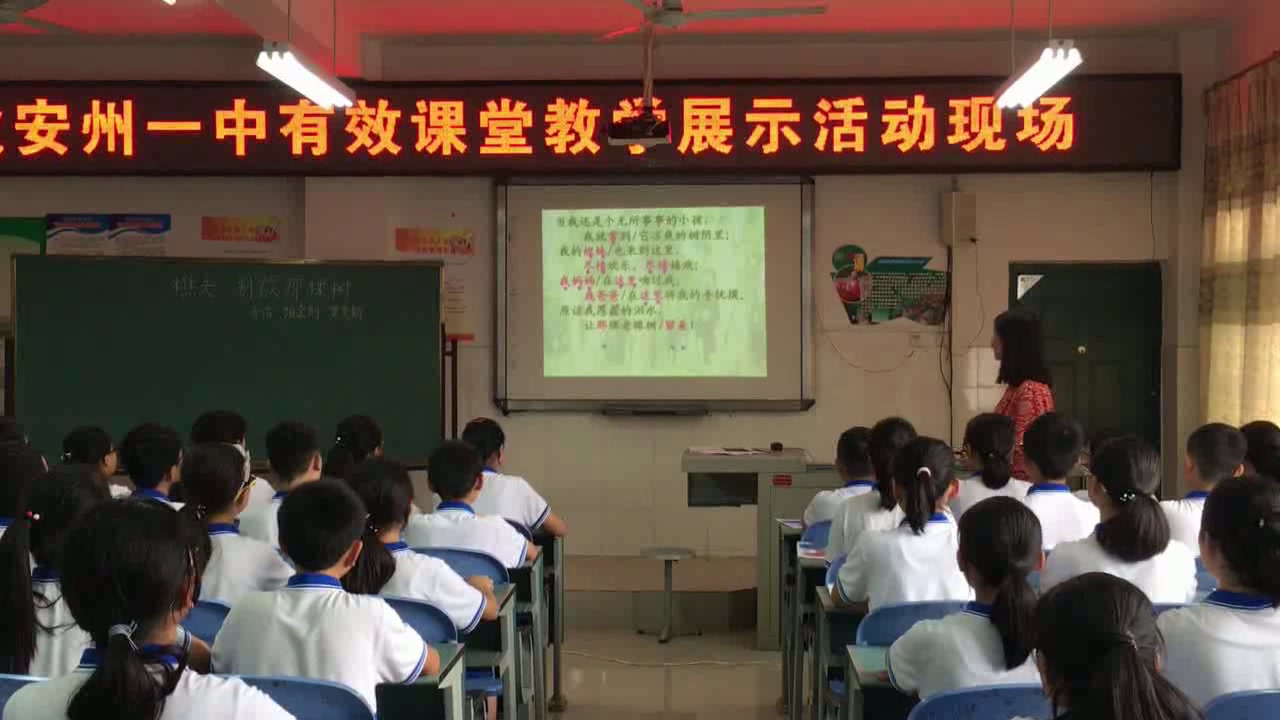 语文2011课标版八上《4.樵夫，别砍那棵树》四川张老师-县级优课