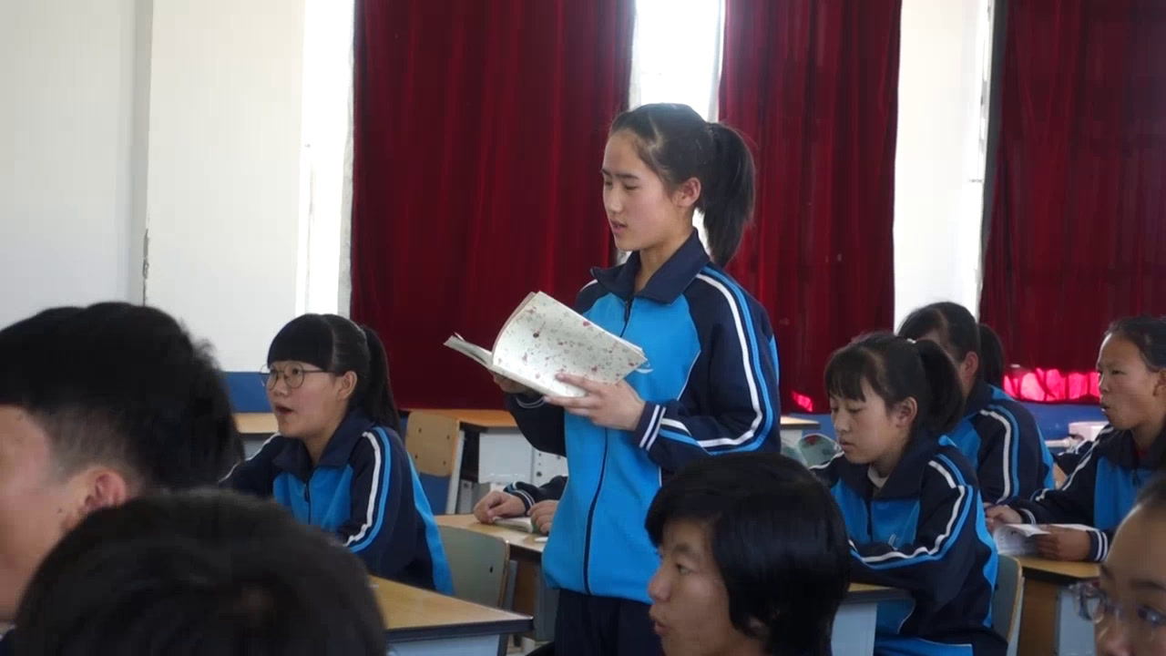语文2011课标版八上《一片槐树叶》辽宁林老师-县级优课