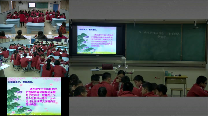 语文2011课标版八上《14.花儿为什么这样红》广东成老师-县级优课