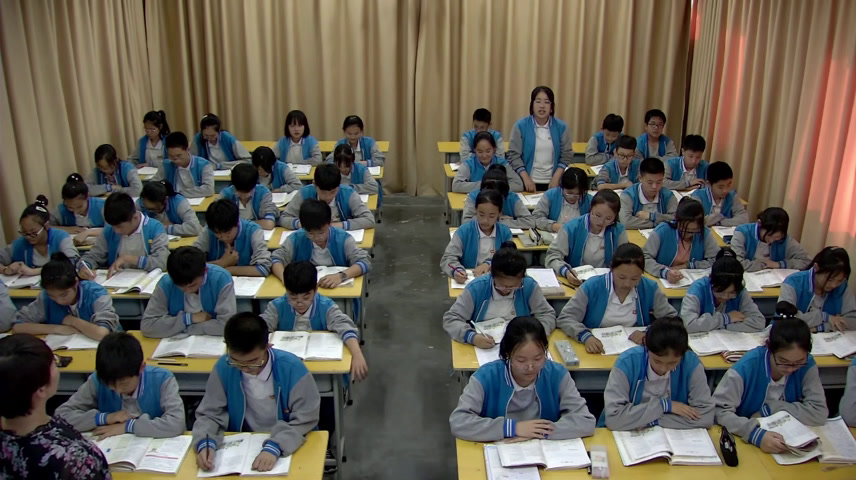 语文2011课标版九上《卖炭翁》河南杭老师-市一等奖