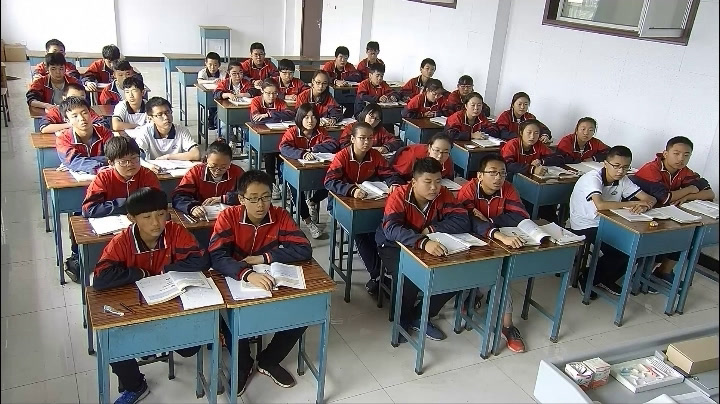 华东师大版数学九上《阅读材料蚂蚁和大象一样重吗》山西马老师-市一等奖