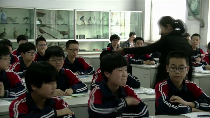 冀教版数学八上《16.1对称轴》河北赵老师-县级优课