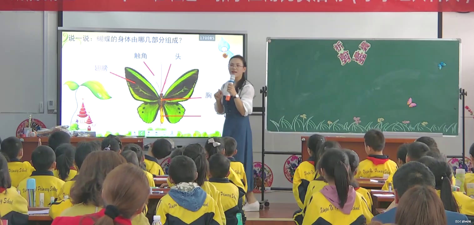 浙人美版美术二下《5折剪蝴蝶》贵州张老师-县级优课