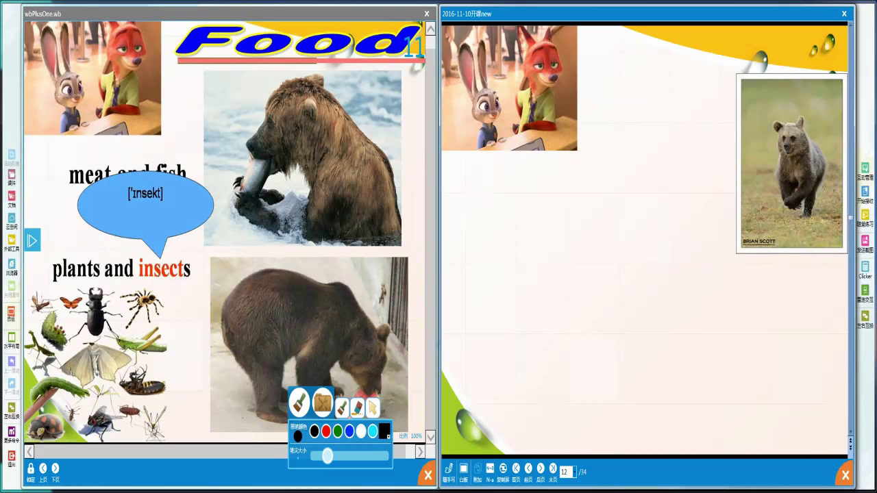 牛津译林版英语八上《Task：A report on an animal in danger》江苏应老师-市一等奖