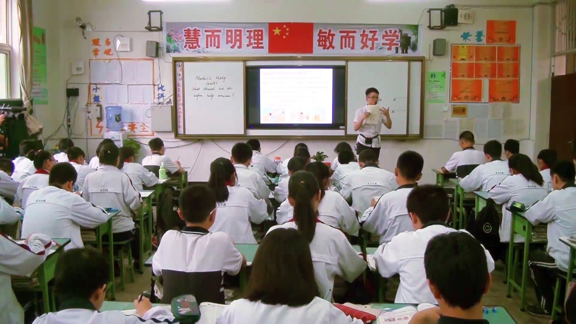 外研版英语八上《Unit1 What should we do before help arrives》四川李老师-全国一等奖